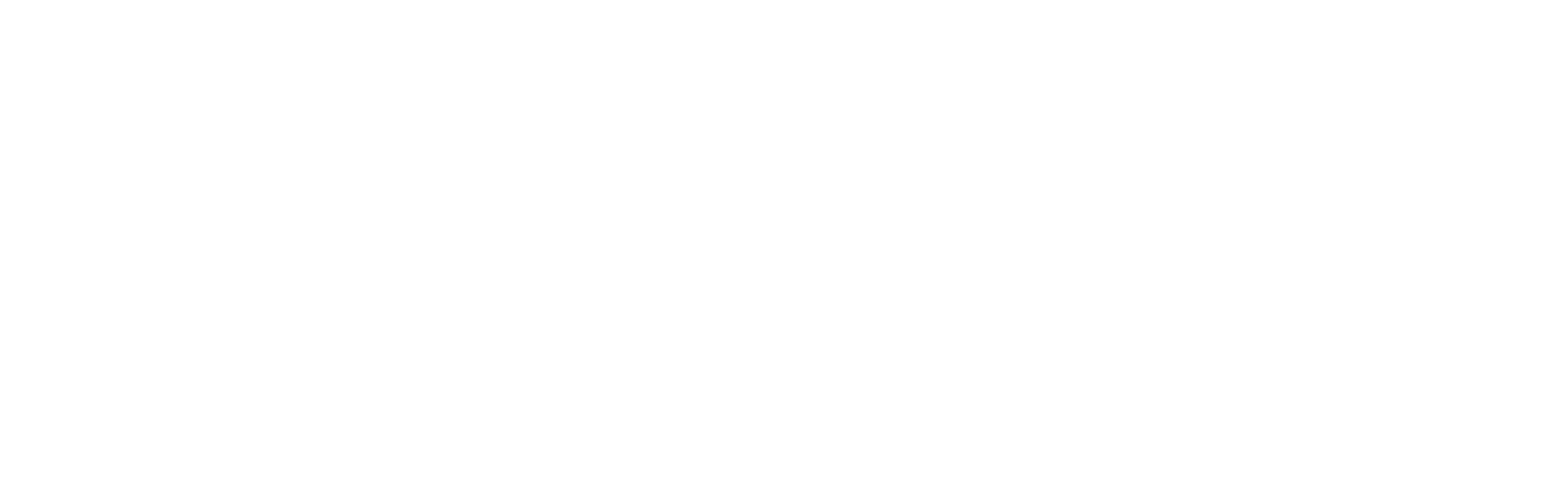 CYBER GUARDIAN LOGO